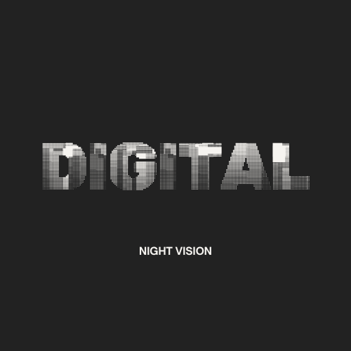 Digital NVG Monocular 4k (Weekend Rental)